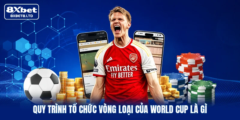 Quy trình tổ chức vòng loại của World Cup là gì